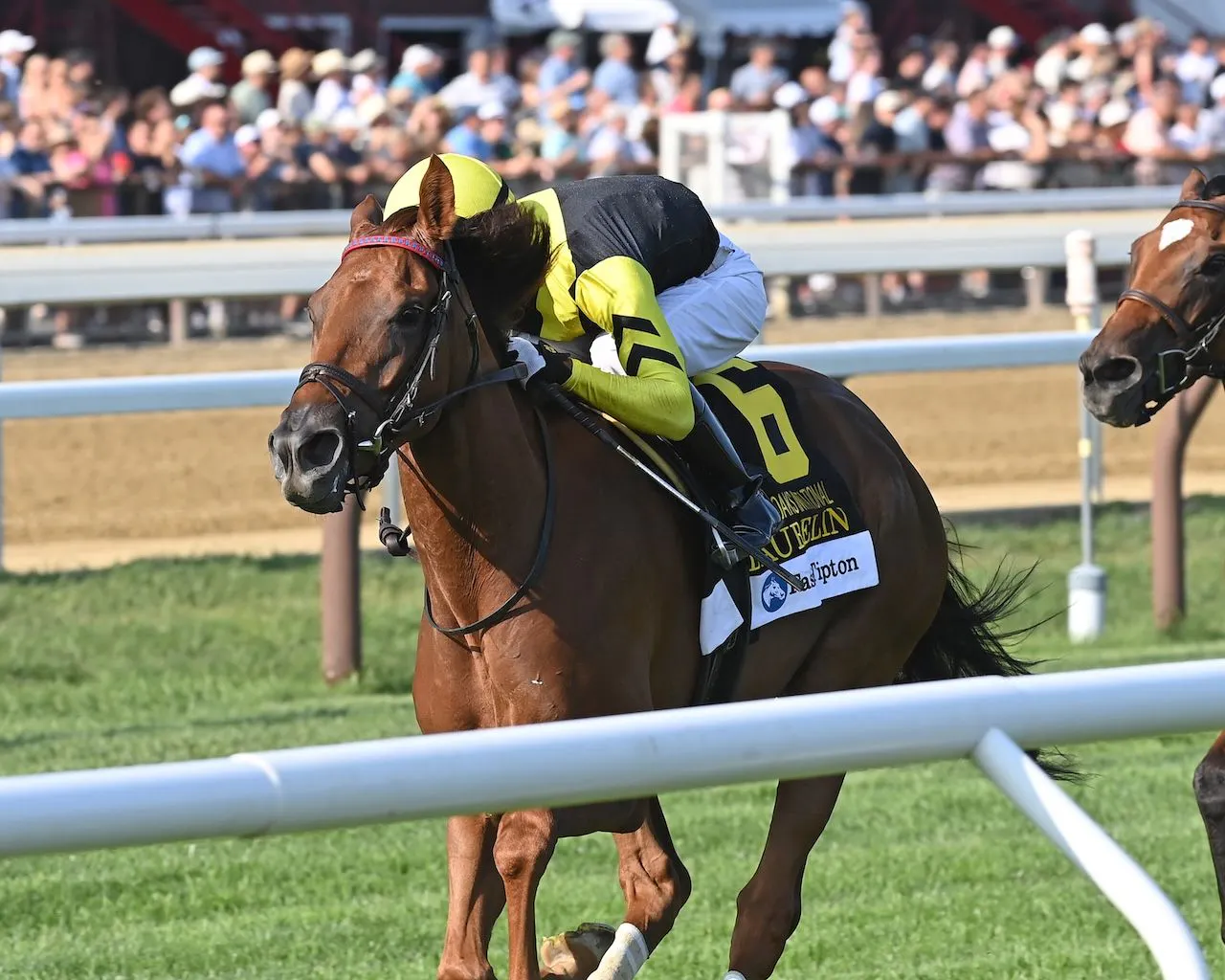 How to bet the New York Stakes