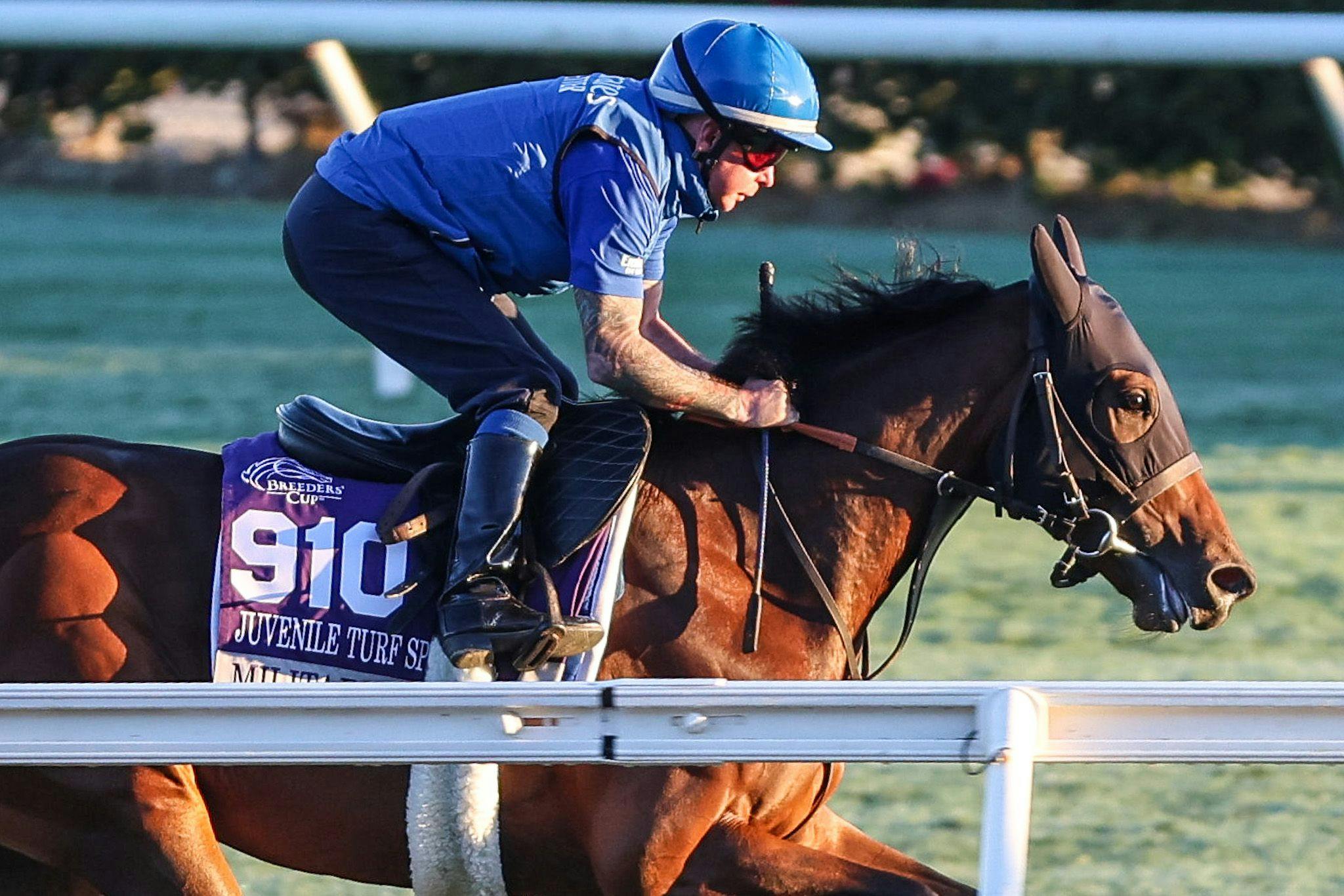 Military Code trains for the 2025 Breeders' Cup at Del Mar (Photo by Horsephotos.com)