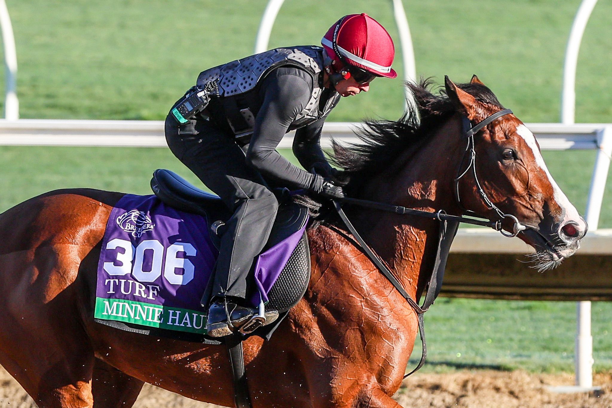 Minnie Hauk could be part of a record-setting Breeders' Cup for Aidan O'Brien