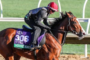 Minnie Hauk could be part of a record-setting Breeders' Cup for Aidan O'Brien