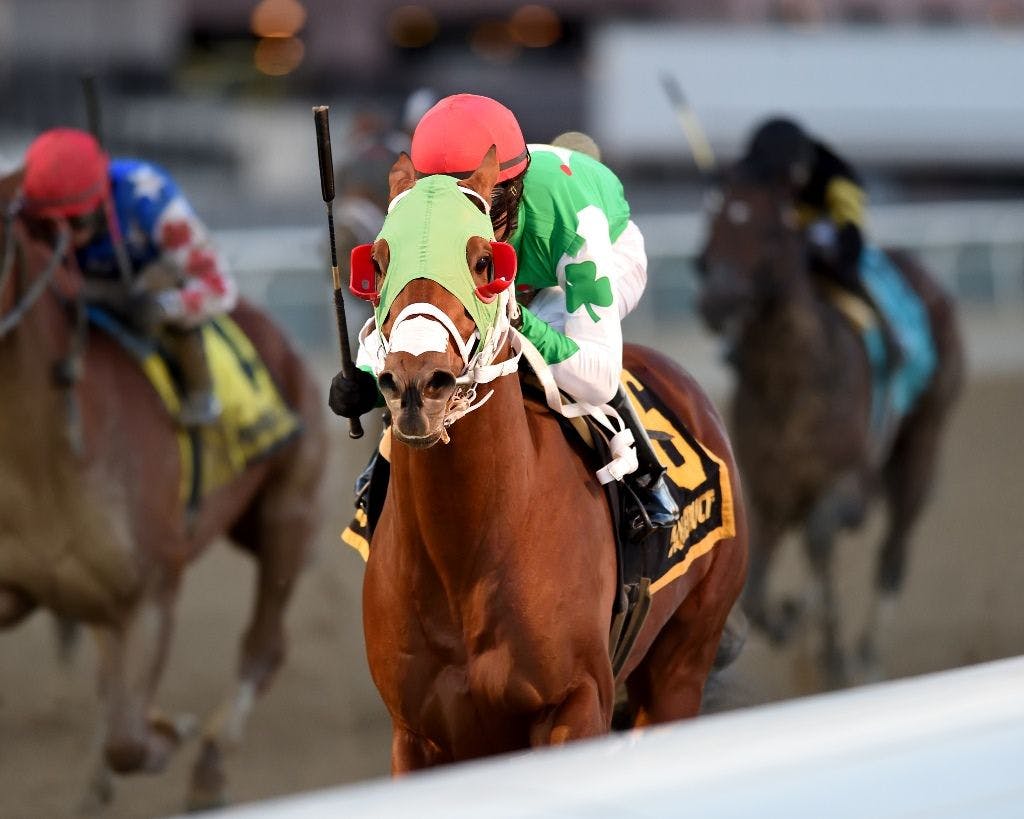 Recent trends in the Gotham Stakes TwinSpires