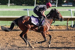 Mission Central trains for the Breeders' Cup (Photo by Horsephotos.com)