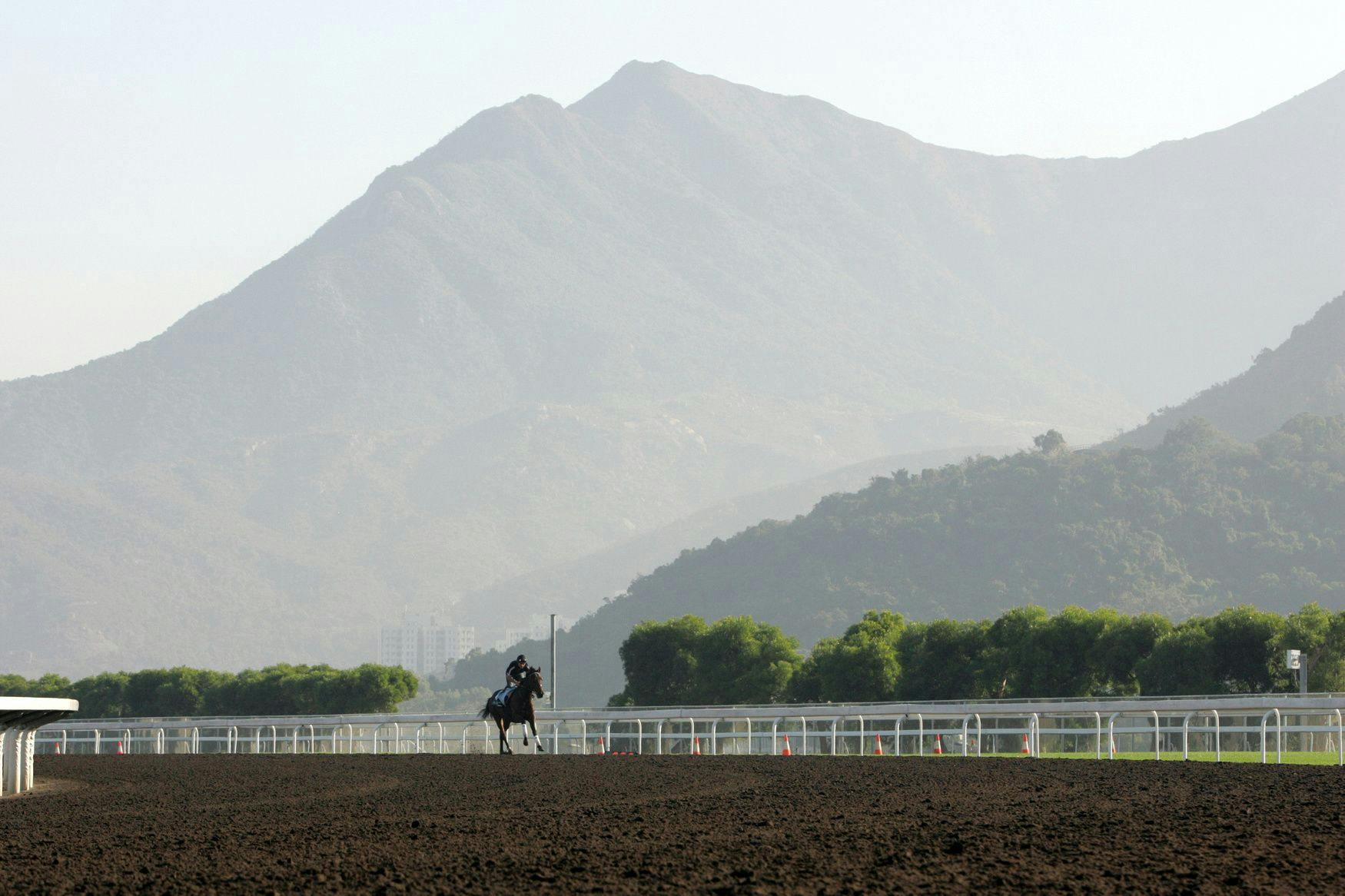 Sha Tin Hong Kong track scene (Photo by Horsephotos.com)