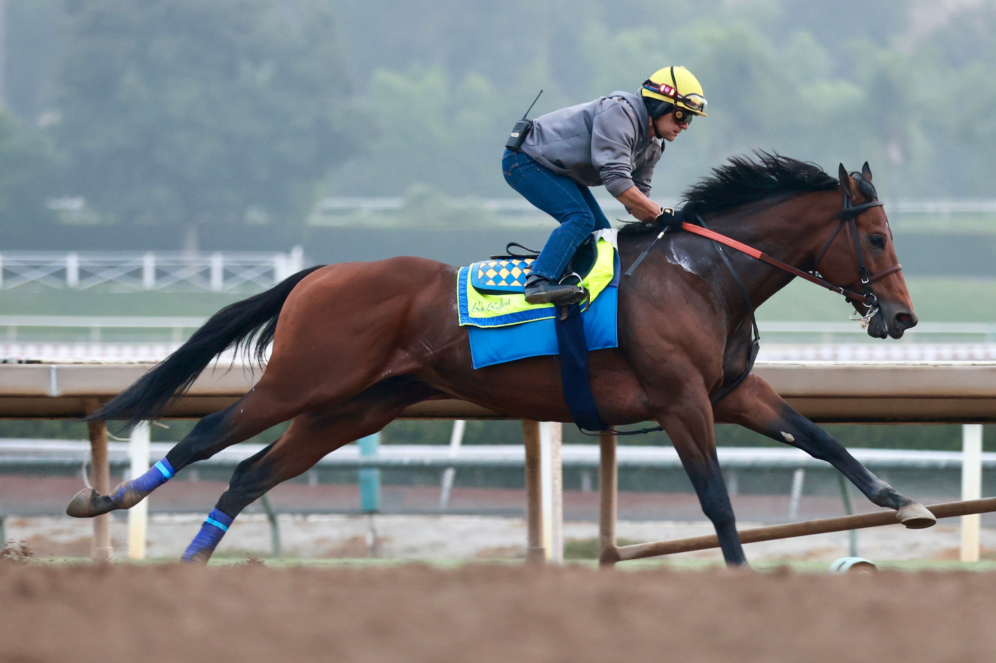 Nysos training for the Breeders' Cup