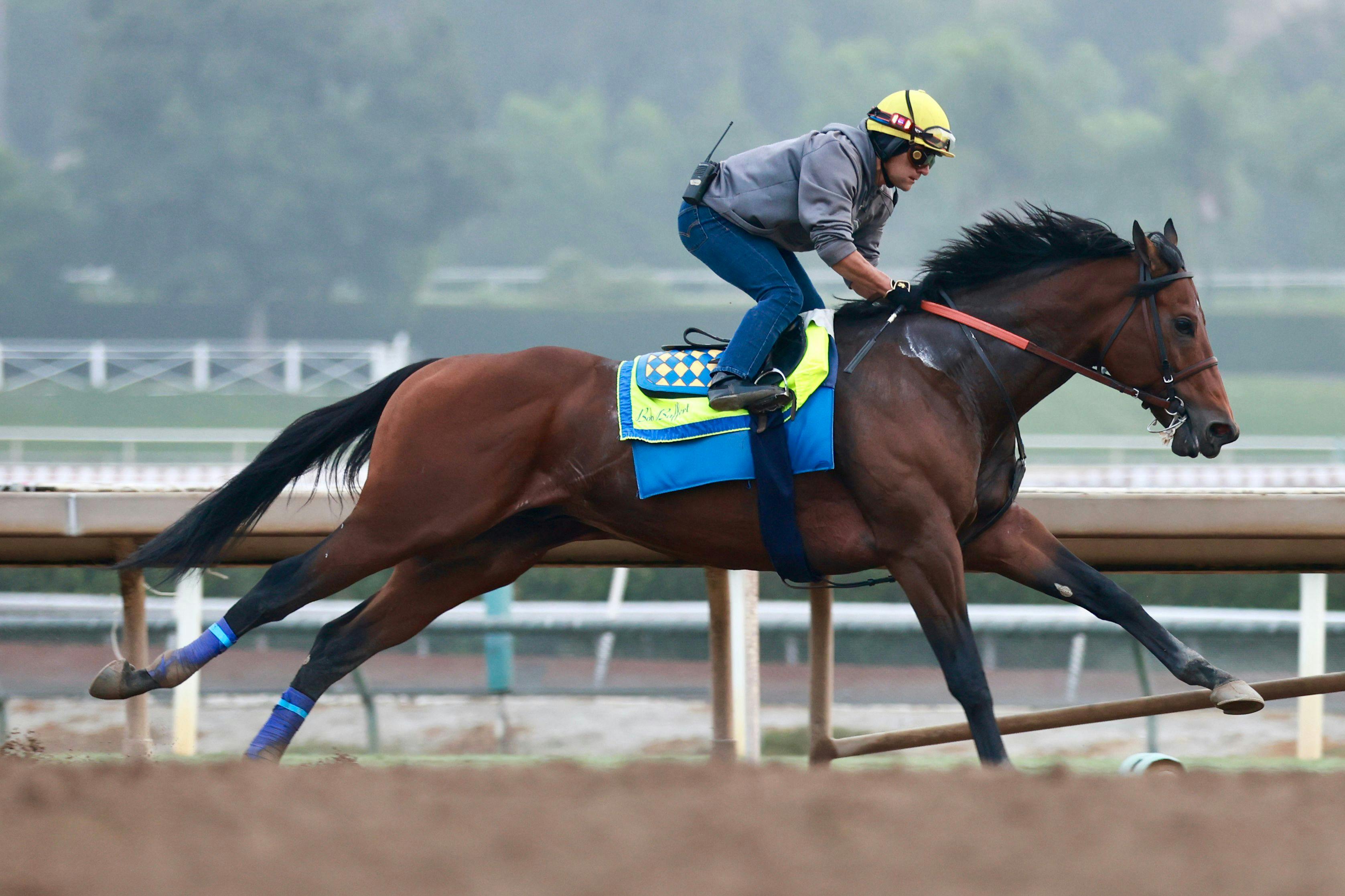 Nysos training for the Breeders' Cup