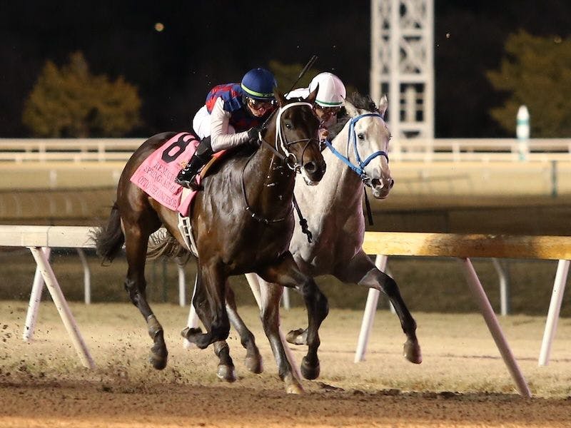 Otto the Conqueror defeating Glengarry in the Remington Springboard Mile S. at Remington Park (Photo by Dustin Orona Photography/Remington Park)