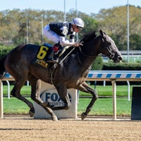 Pandagate winning his debut at Aqueduct (Photo by Coglianese Photos/Chelsea Durand)