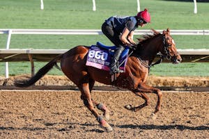 Precise trains for the Breeders' Cup at Del Mar 2025 (Photo by Horsephotos.com)