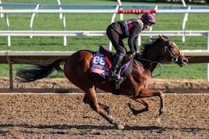 Queen of Hawaii trains for the 2025 Breeders' Cup at Del Mar (Photo by Horsephotos.com)
