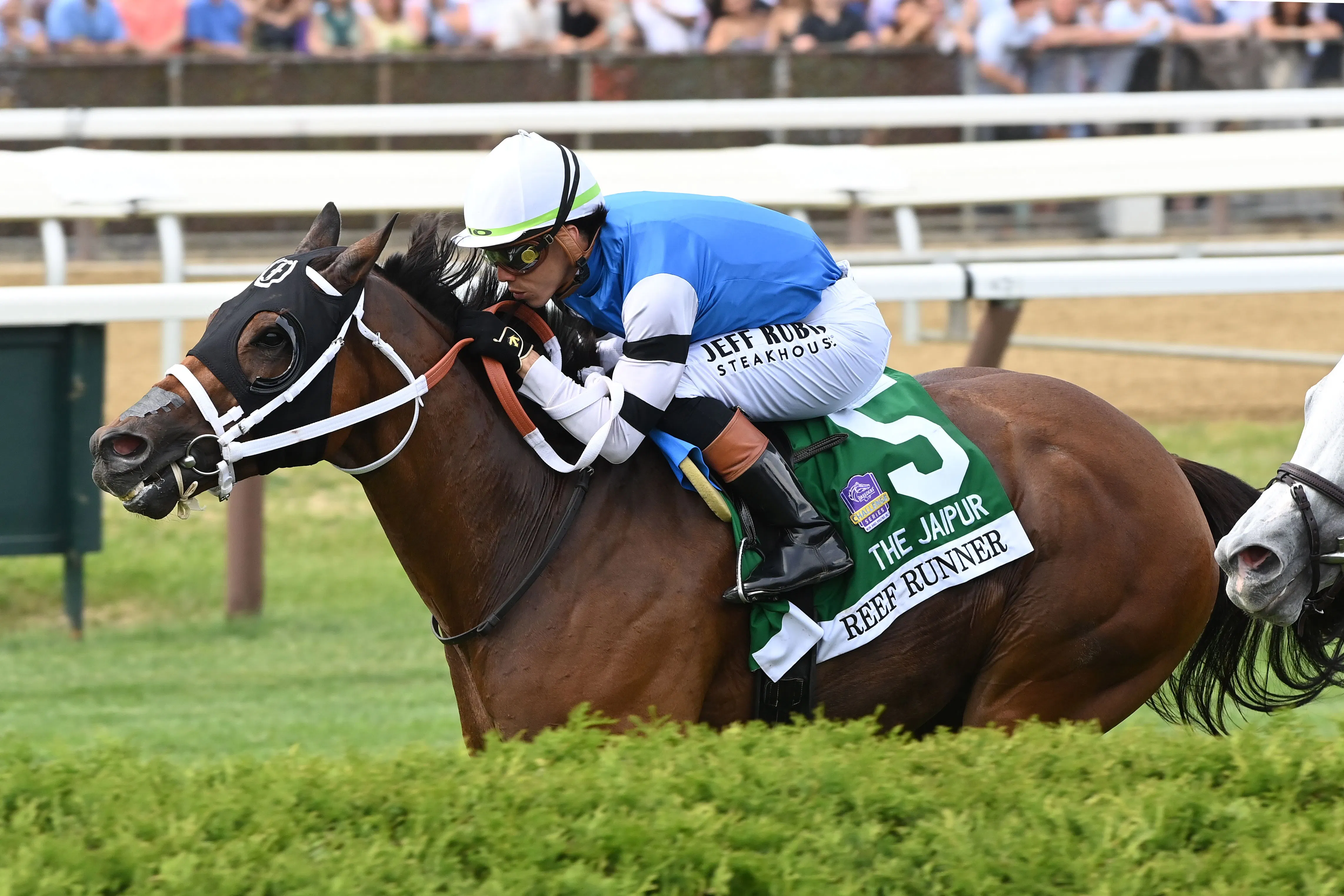 Reef Runner wins the Jaipur (G1) at Saratoga.
