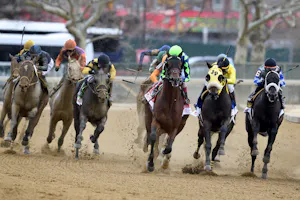 The field turns for home in the 2024 Wood Memorial (G2) at Aqueduct (Photo by Coglianese Photos/Dom Napolitano)