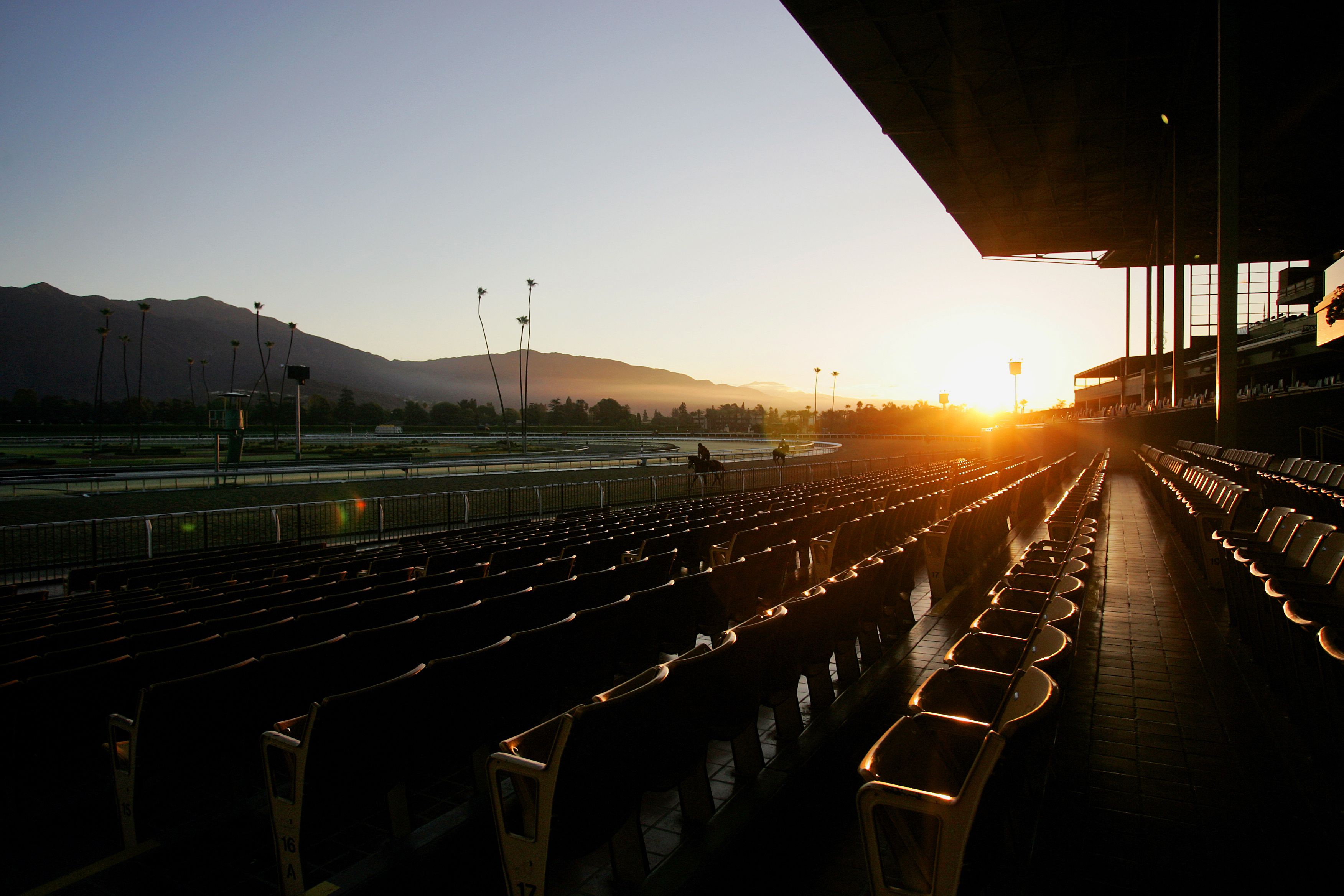 Meet The Contenders: 2024 Robert B. Lewis Stakes | TwinSpires