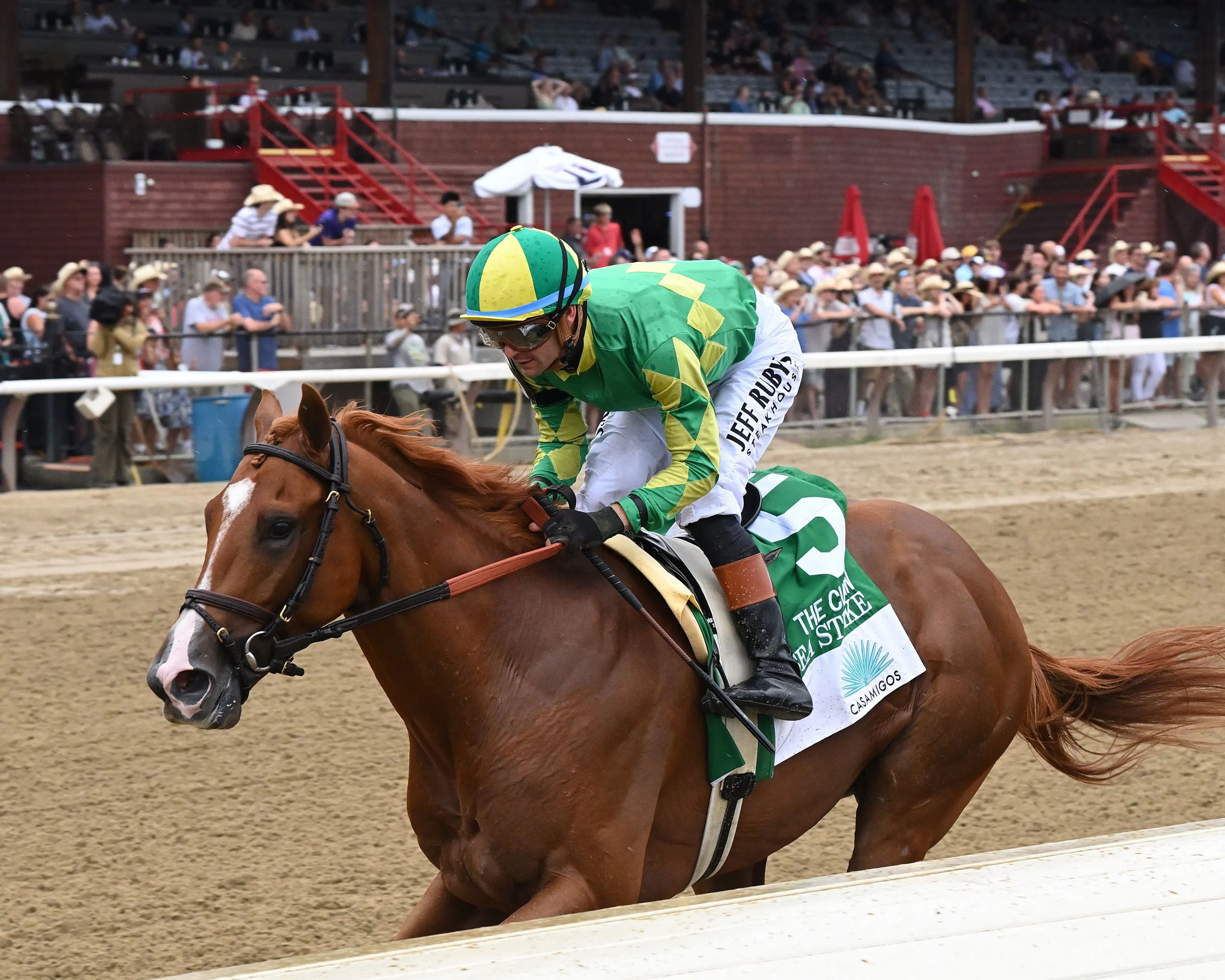 Sea Strike dominated the Curlin S. in his stakes and two-turn debut (Photo by Coglianese Photos)