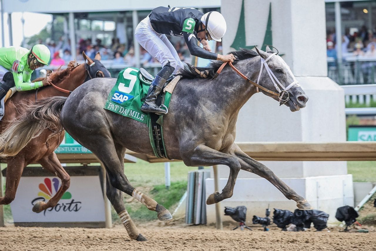 Seize the Grey winning the Pat Day Mile (G2) at Churchill Downs (Photo by Horsephotos.com)