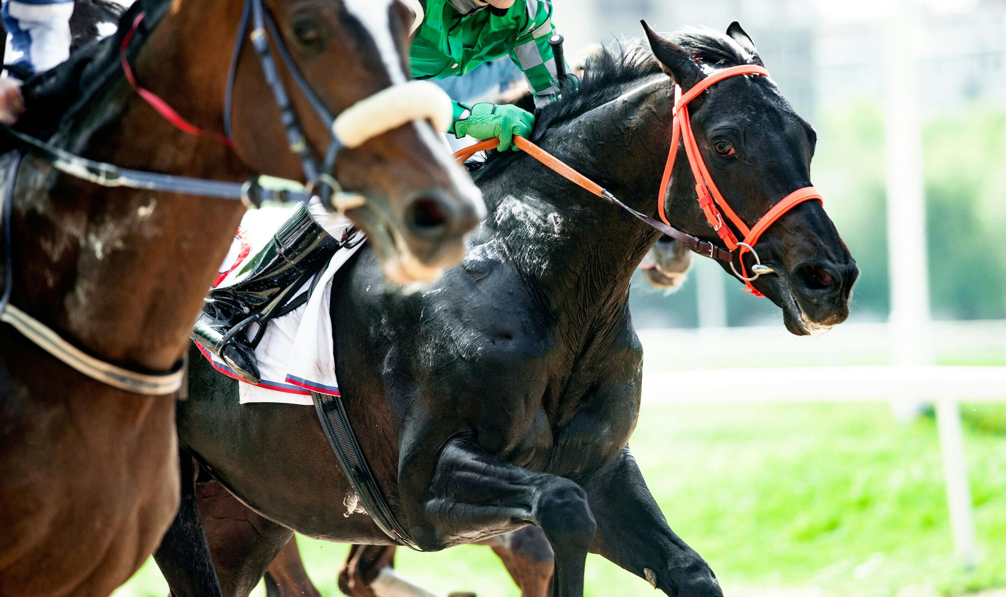 Del Mar Handicapping Picks 60 - l6okkyh
