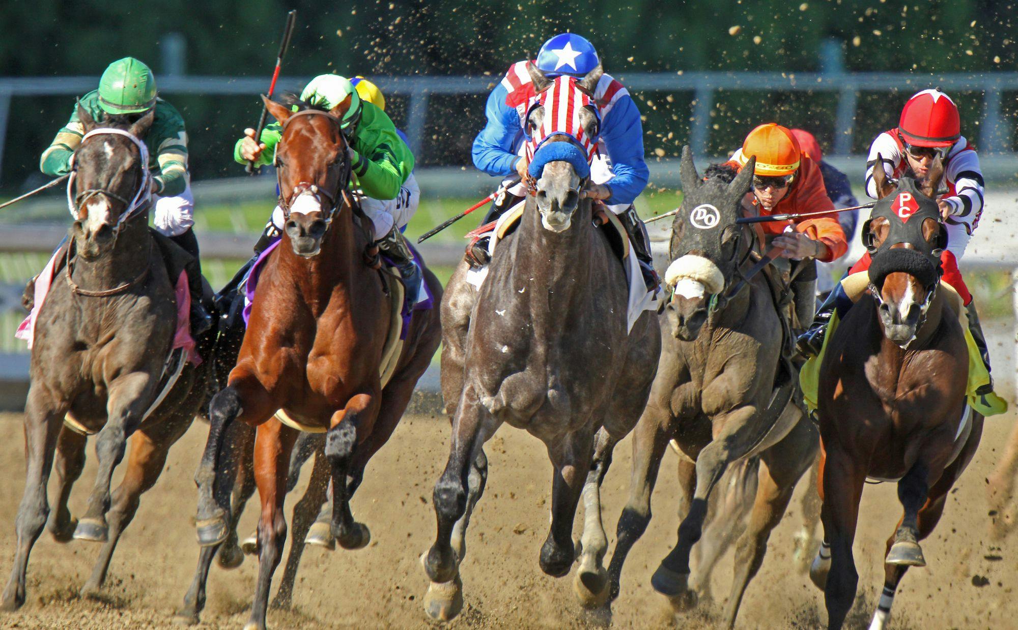 How Fast Can a Horse Run: The Science of Horse Racing | TwinSpires