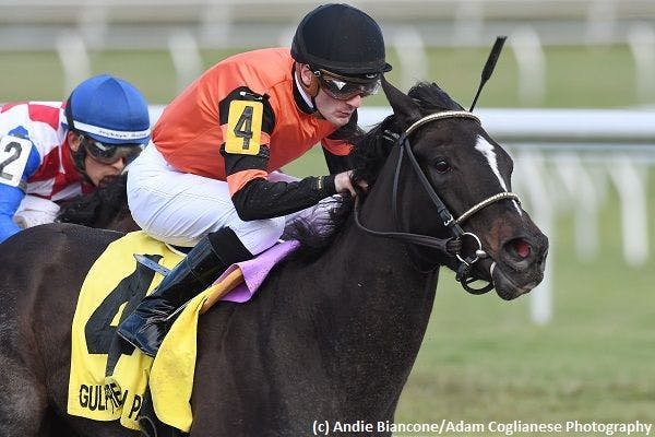 Cicatrix is a filly to watch | TwinSpires