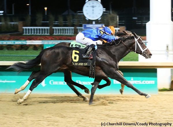 Kentucky Derby Pedigree Profile: Enticed | TwinSpires