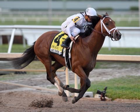 Kentucky Derby Pedigree Profile: Audible | TwinSpires