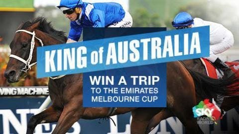 Horses To Watch At Randwick For King Of Australia Final Roun 