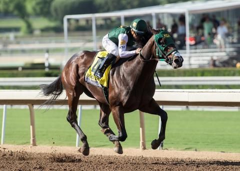 Kentucky Derby Pedigree Profile: Bolt D'Oro | TwinSpires