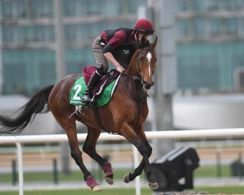 Highland Reel (Dubai racing Club/Mathea Kelley Photo)  