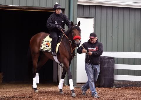 Nyquist takes in jog around Old Hilltop | TwinSpires