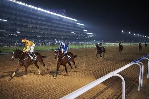 Dubai Carnival beads: Ageless Wizard defies time, de Kock’s | TwinSpires