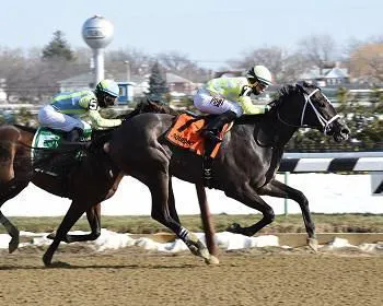 Sunny Ridge Sunny Ridge outfinishes Vorticity in Withers; Flexibility fo | TwinSpires