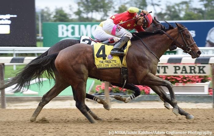 Breeders' Cup Juvenile Fillies -- Yellow Agate 