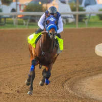 So Happy training for the 2026 Kentucky Derby (Photo by Horsephotos.com/Rickelle Nelson)