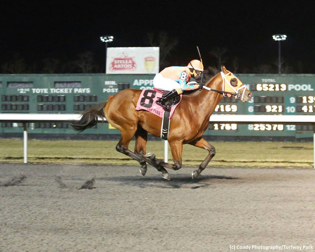 Somelikeithotbrown winning the 2019 John Battaglia Memorial. (Coady Photography)