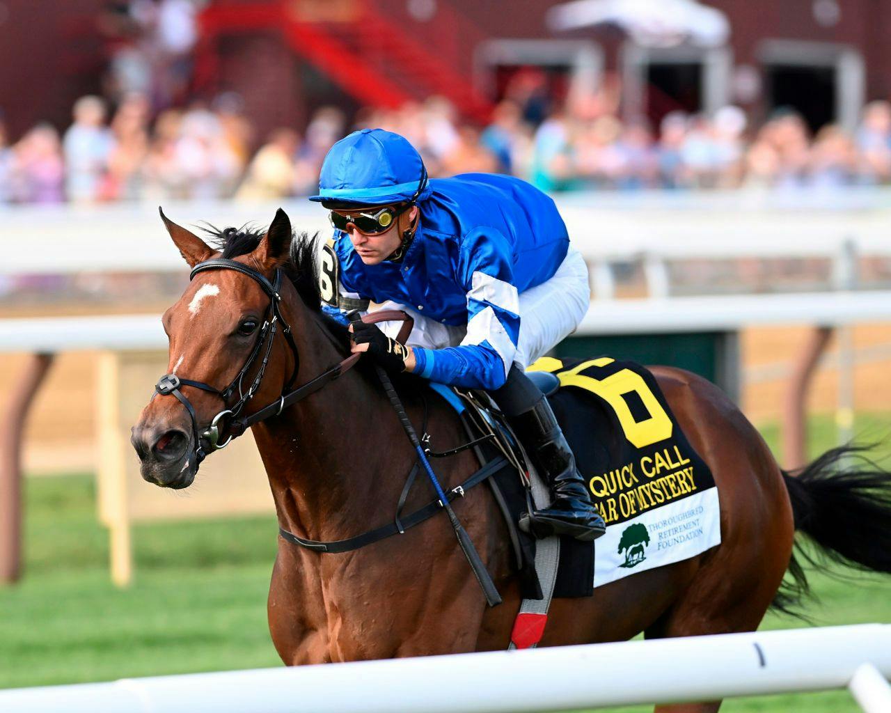 Star of Mystery winning the Quick Call (G3) at Saratoga (Photo by Coglianese Photos/Chelsea Durand)