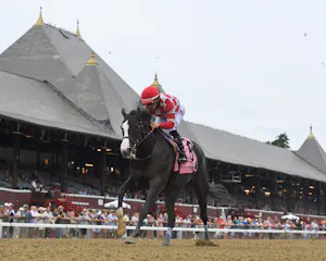 Stress Relief made it look easy in the Adirondack (G3)