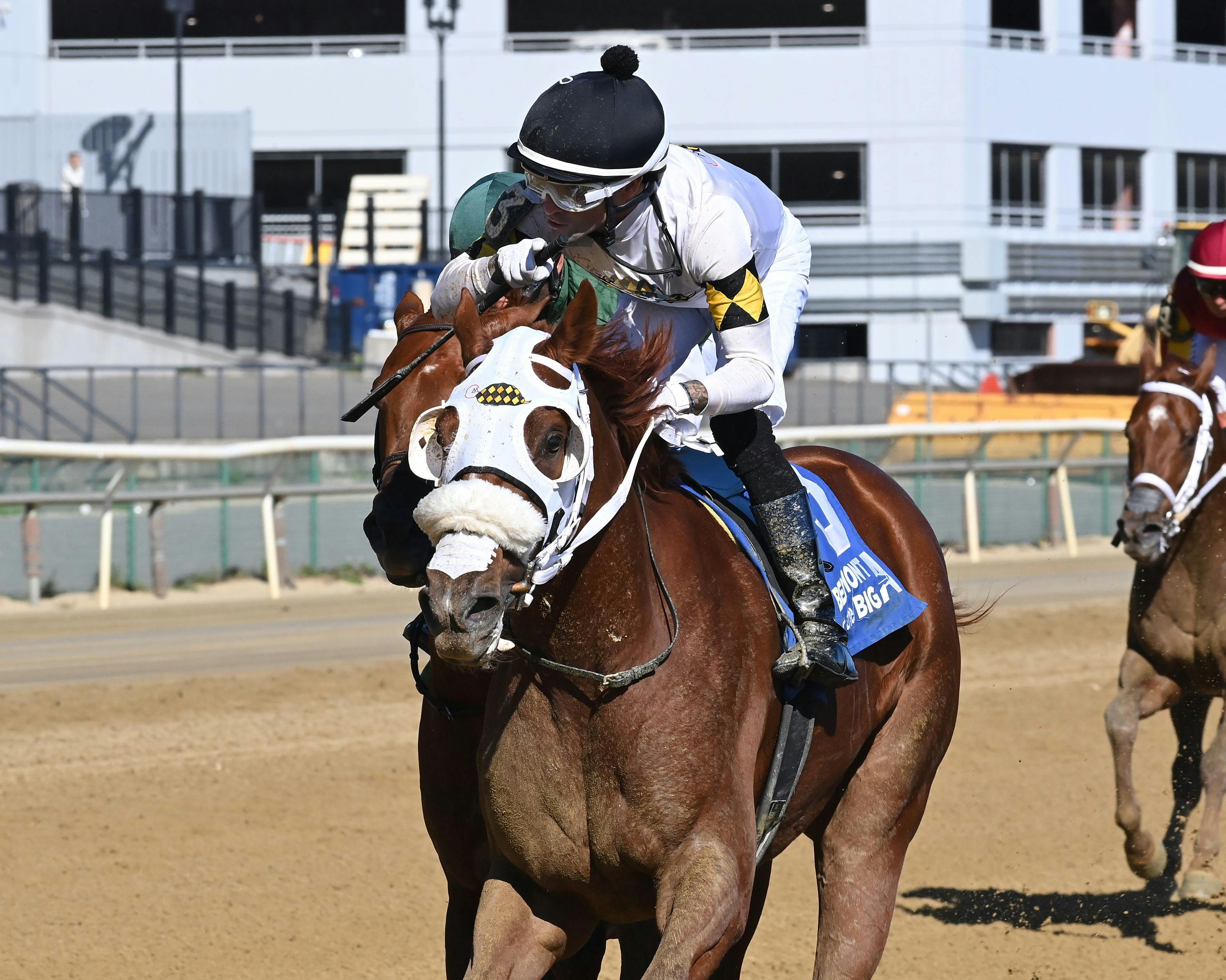 Studlydoright wins the Nashua Stakes at Belmont at the Big A.