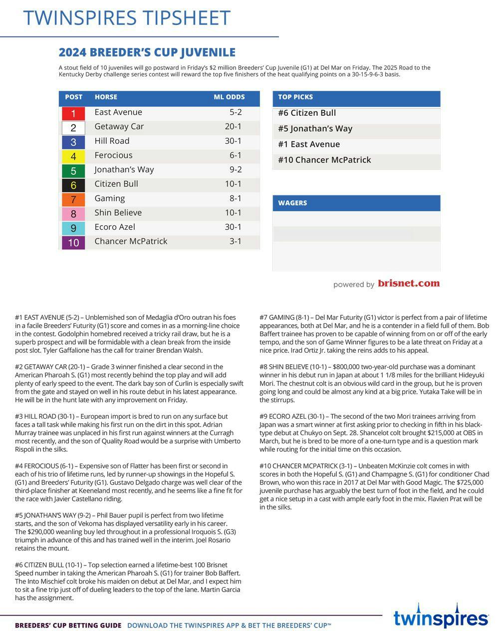 Breeders' Cup Juvenile Tipsheet 2024