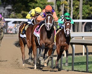 Tommy Jo wins the Spinaway Stakes at Saratoga. 