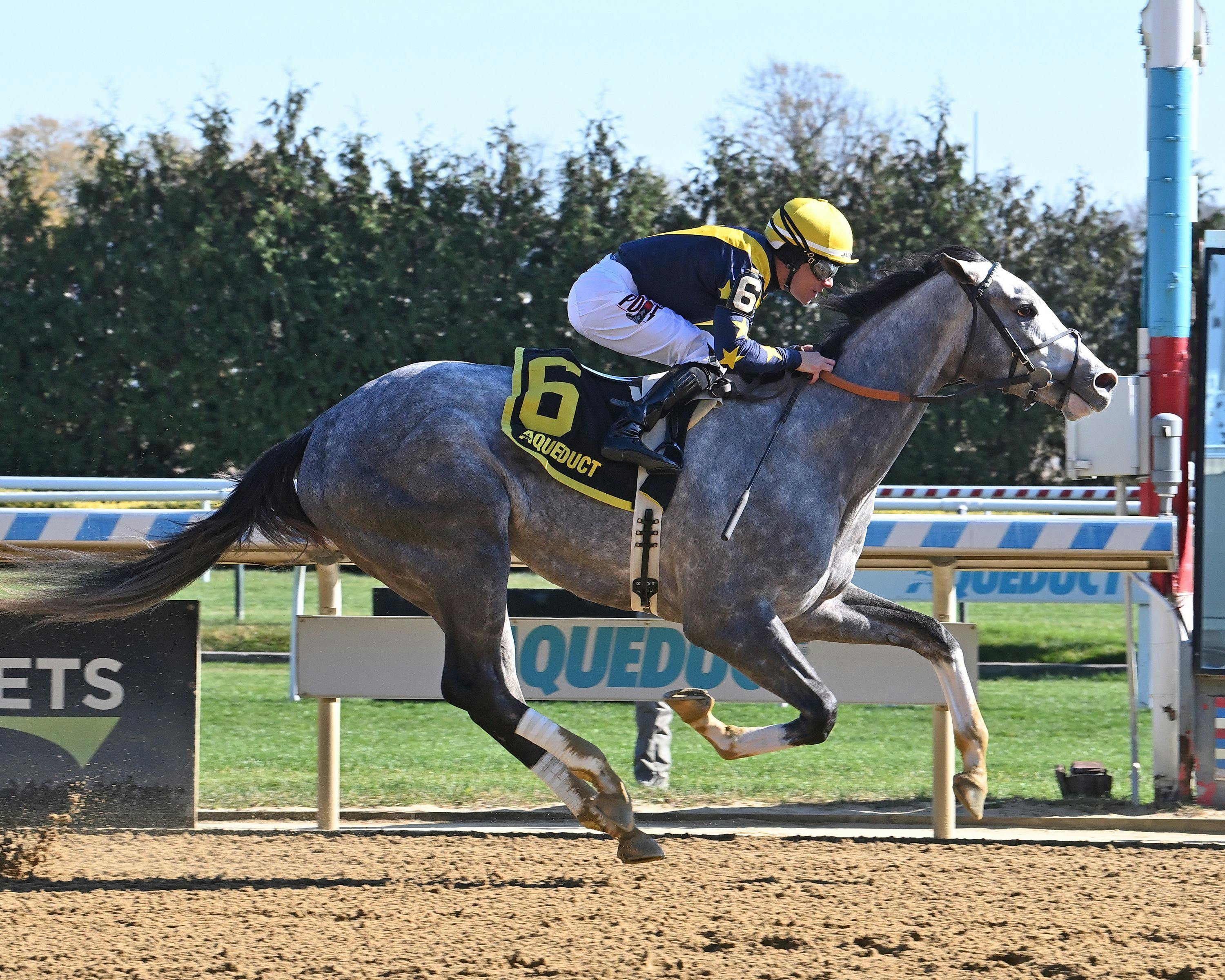 Tux wins at Aqueduct. 