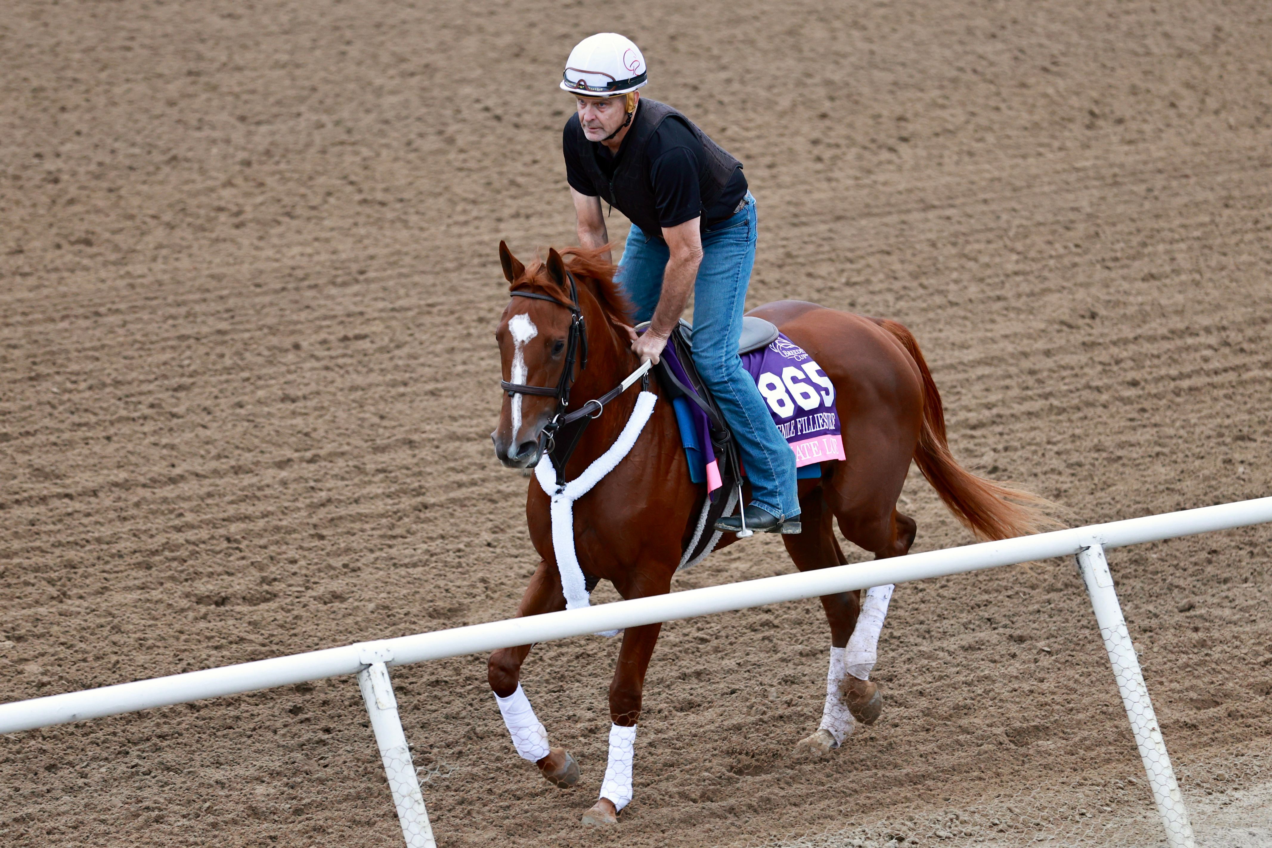 Ultimate Love trains for the Breeders' Cup 2025 (Photo by Horsephotos.com)