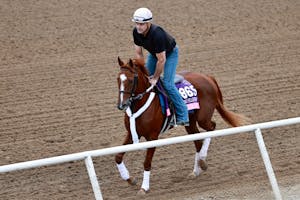 Ultimate Love trains for the Breeders' Cup 2025 (Photo by Horsephotos.com)