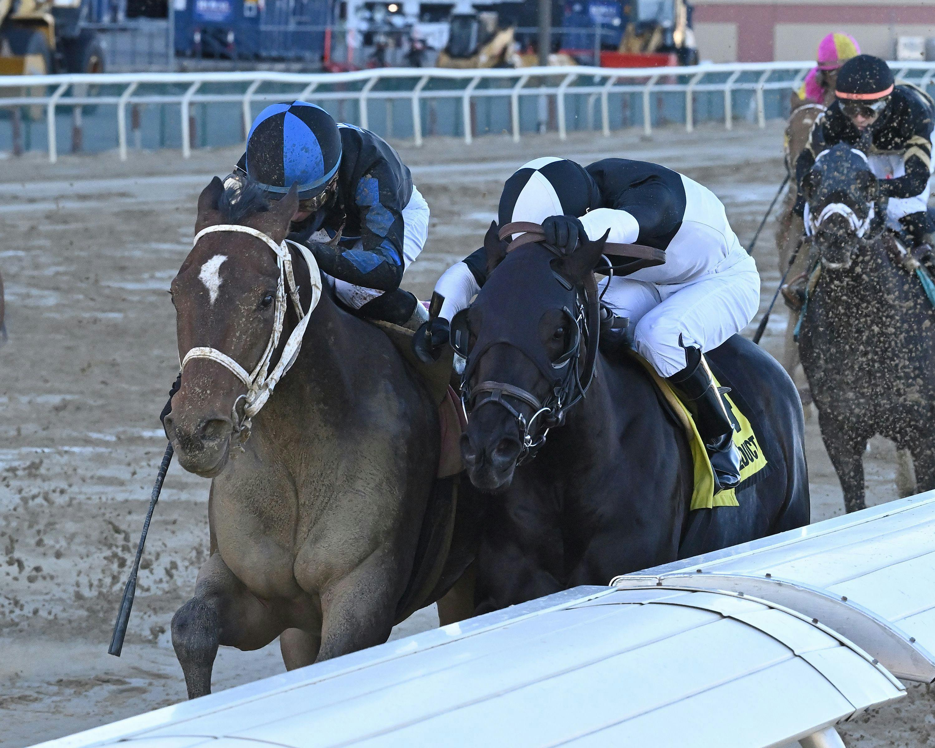 Uncle Heavy (left) winning the Withers (G3) at Aqueduct (Photo by Coglianese Photos/Joe Labozzetta)