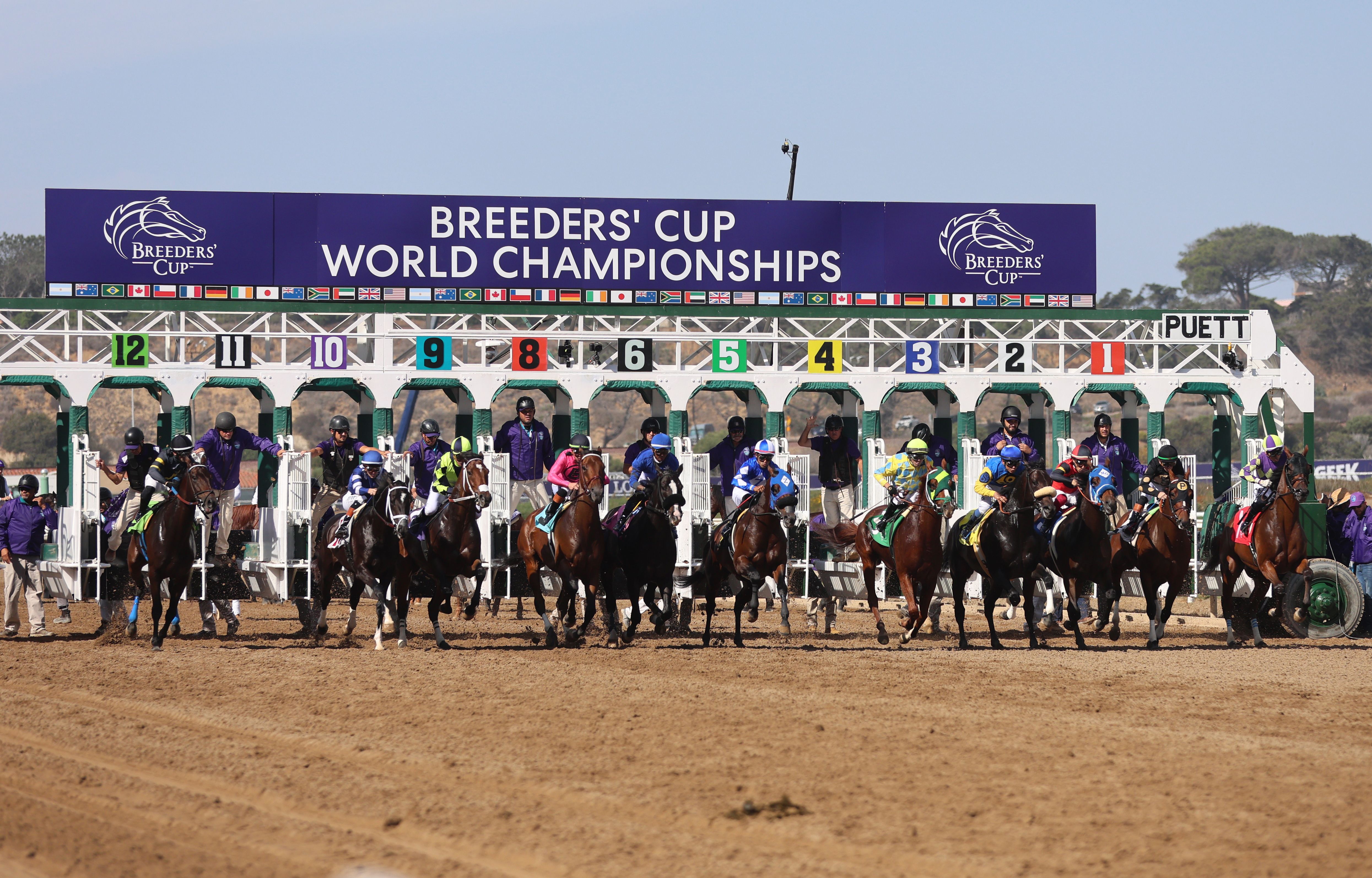 Breeders' Cup World Championships at Del Mar (Photo by Horsephotos.com)