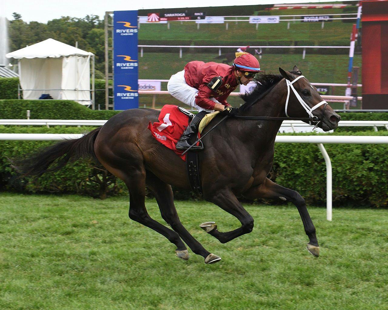 West Hollywood winning the Saranac (G3) at Saratoga