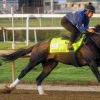 Wonder Dean trains towards the Kentucky Derby (Photo by Horsephotos.com)