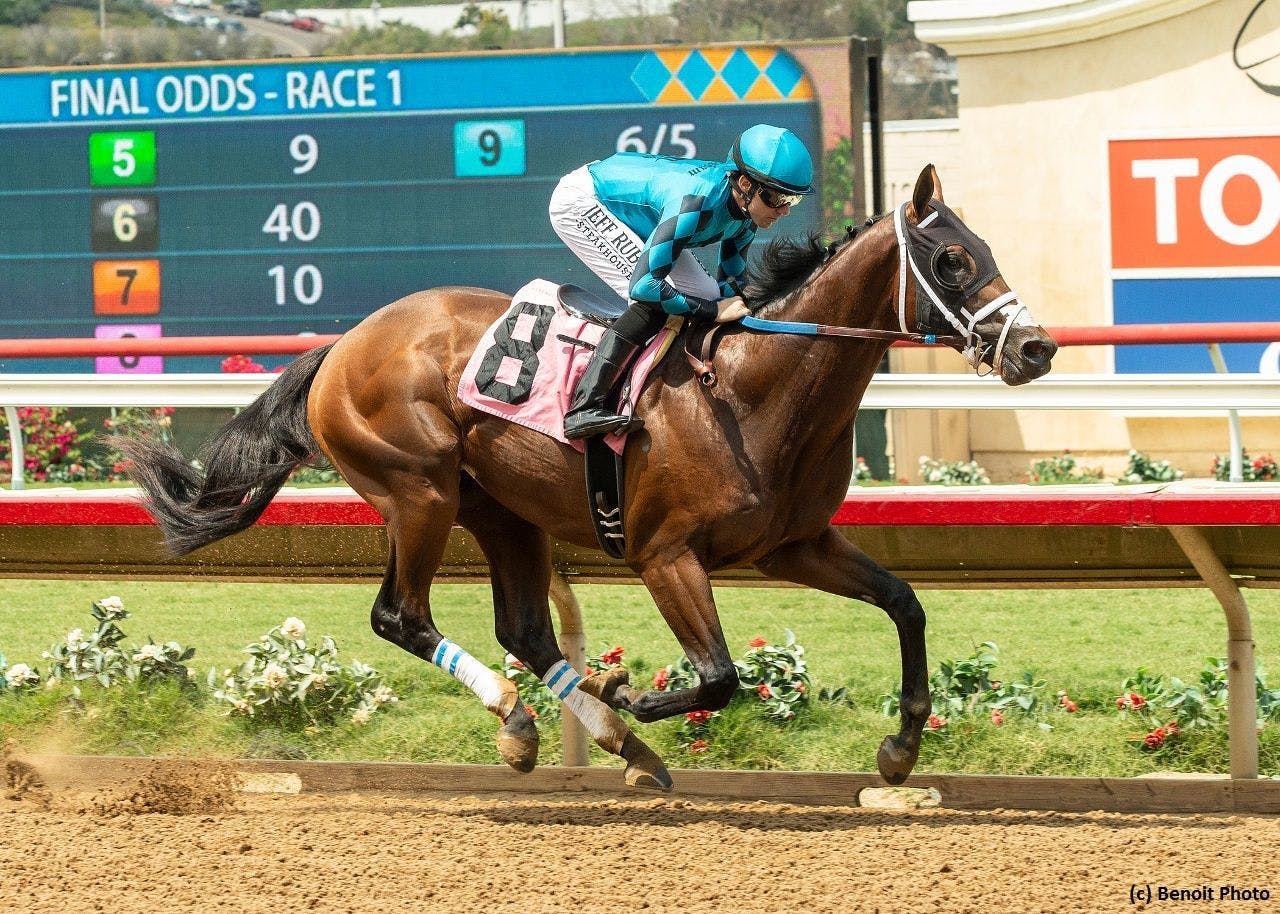 Savagery an intriguing prospect in Los Alamitos Futurity TwinSpires