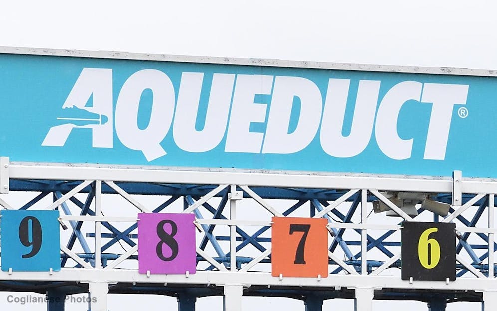 Stakes Selections for Aqueduct on November 11 | TwinSpires