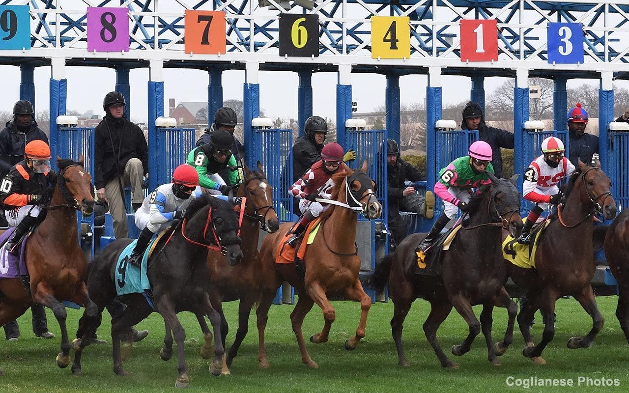 Pick 6 carryovers 83,912 at Aqueduct, 6,004 at Churchill TwinSpires