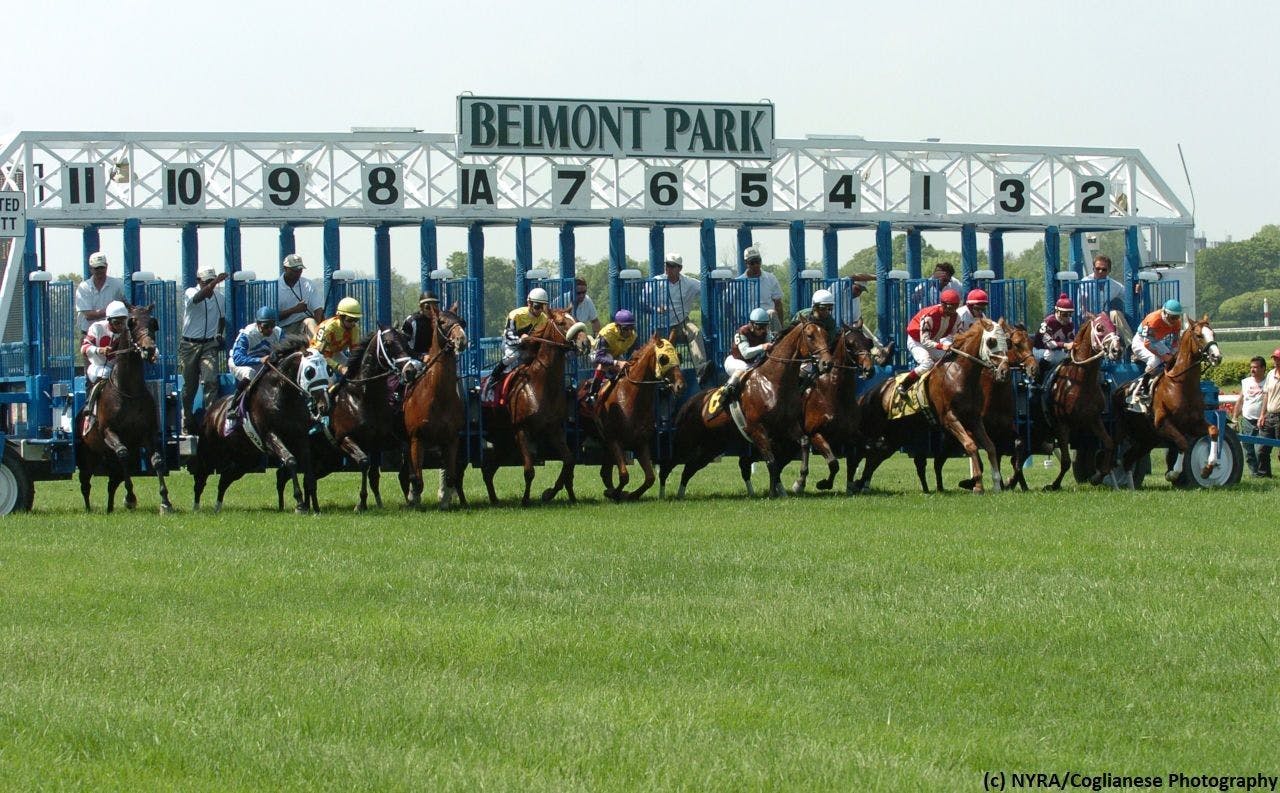 Belmont Fall Championship Meet Begins Friday TwinSpires