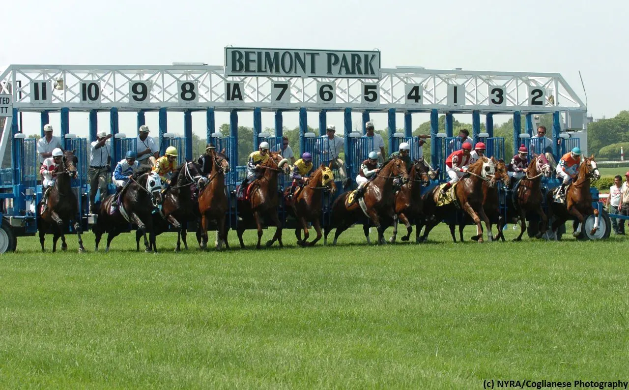 2019 Belmont Derby international scouting reports: Cape of G | TwinSpires