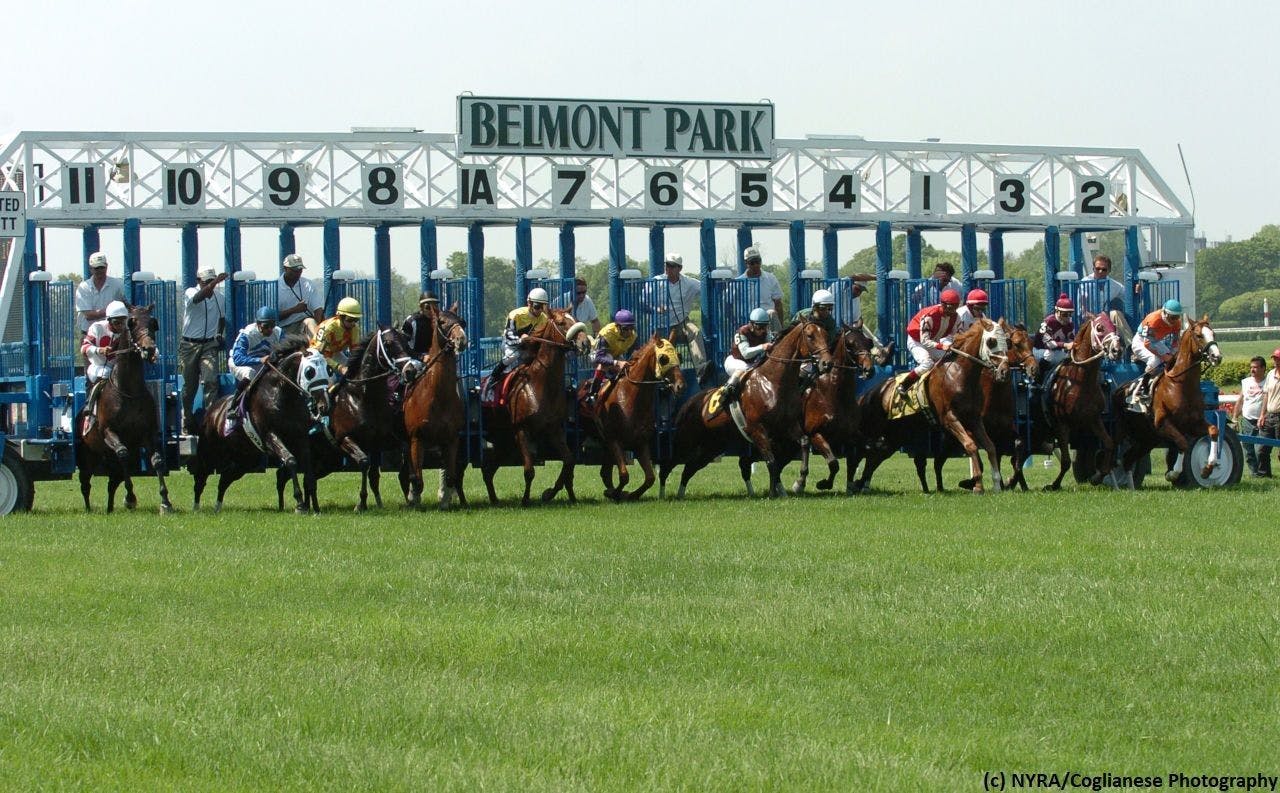 Sorting out the 2019 Belmont Fall Meet’s top jockeys TwinSpires